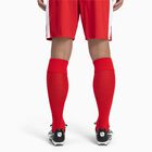 LIGA Socks