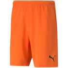 teamRISE Shorts