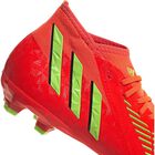 PREDATOR EDGE.2 FG