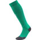 LIGA Socks
