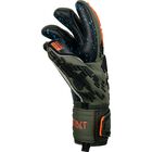 Freegel Fusion