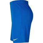 Dri-FIT Park 3 Big Kids Soccer Shorts