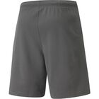 teamRISE Shorts