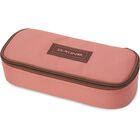 School Case