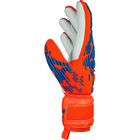 Attrakt Freegel Silver JR
