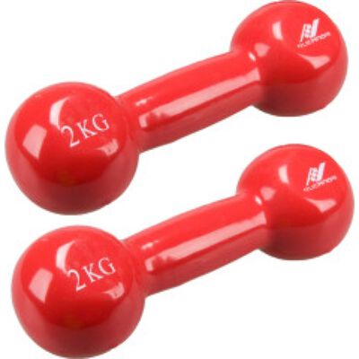 Fausthanteln aus Gusseisen 2kg