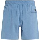 DAVEY beachshort
