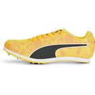 evoSPEED Star 8