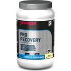 Pro Recovery