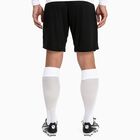 LIGA Socks