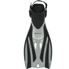 Fizz JR Fin
