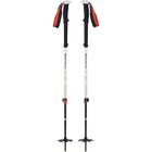 Expedition 2 Ski Poles