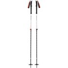 Expedition 2 Ski Poles