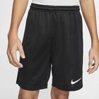 Dri-FIT Park 3 Big Kids Soccer Shorts