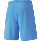 teamRISE Shorts