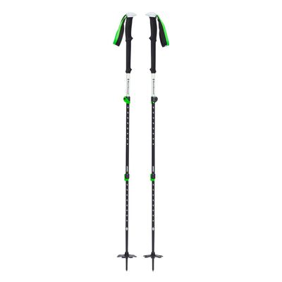 Expedition 3 Ski Poles