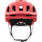 Axion Race MIPS
