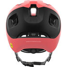 Axion Race MIPS