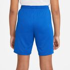 Dri-FIT Park 3 Big Kids Soccer Shorts
