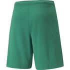 teamRISE Shorts