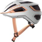 Arx Plus (CE)