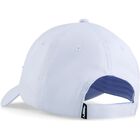 ESS METAL PUMA CAT BB Cap