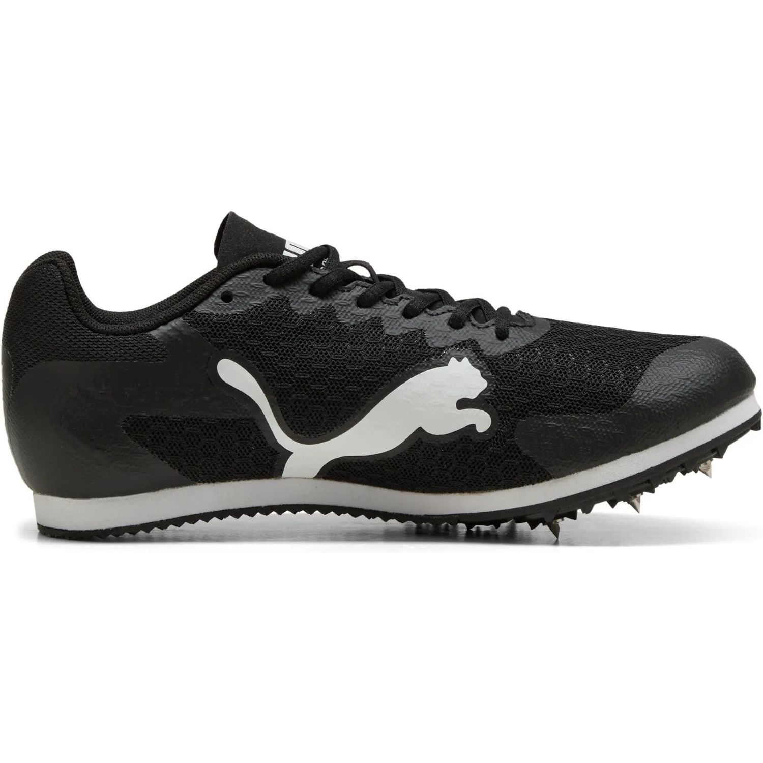 evoSPEED Star 9 Junior