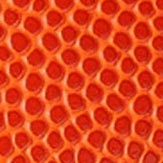 Nike Everyday All Court 8P