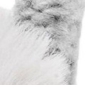 RCS Cable Earmuff