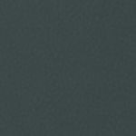 Alpine Pro M L/S TEE