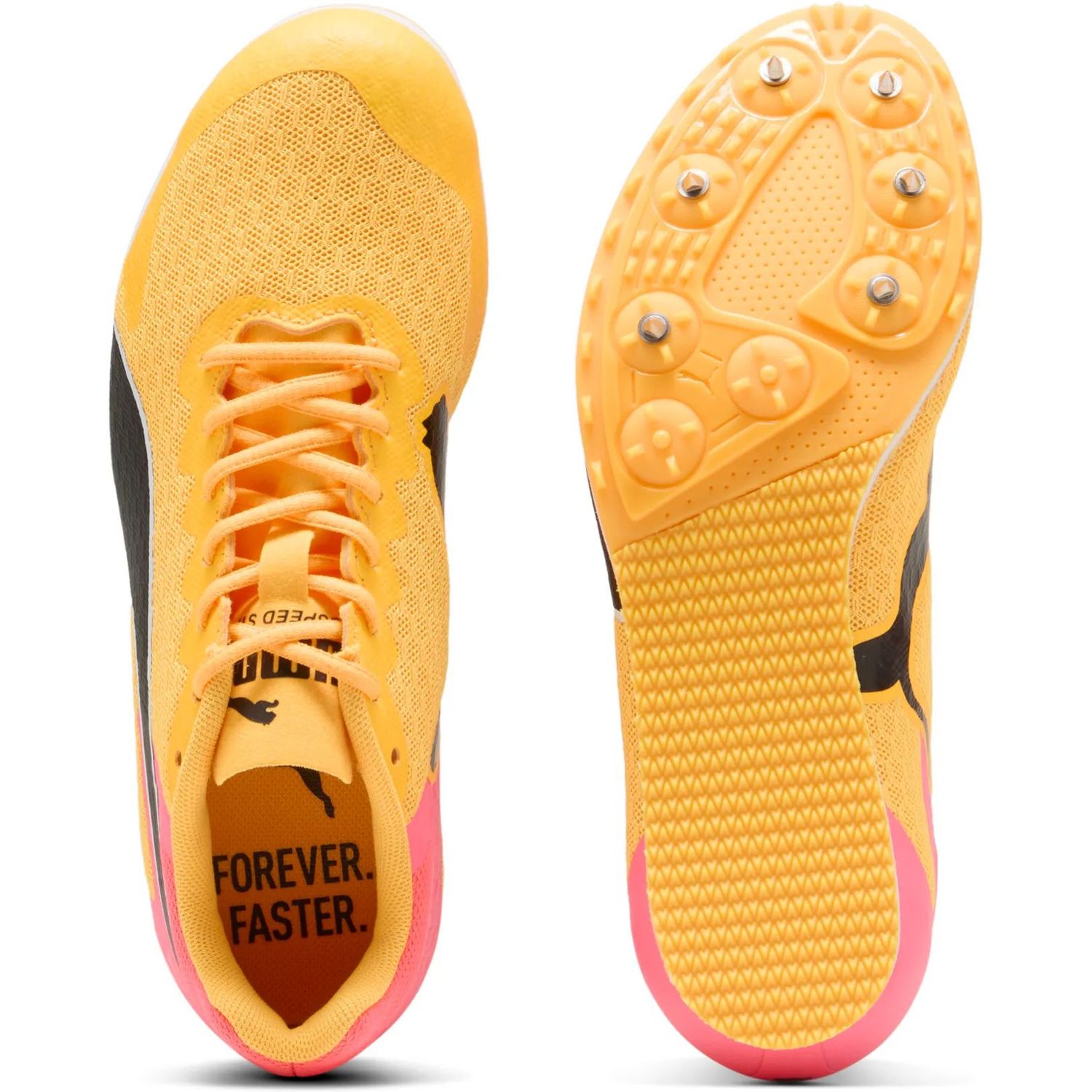 evoSPEED Star 9 Junior