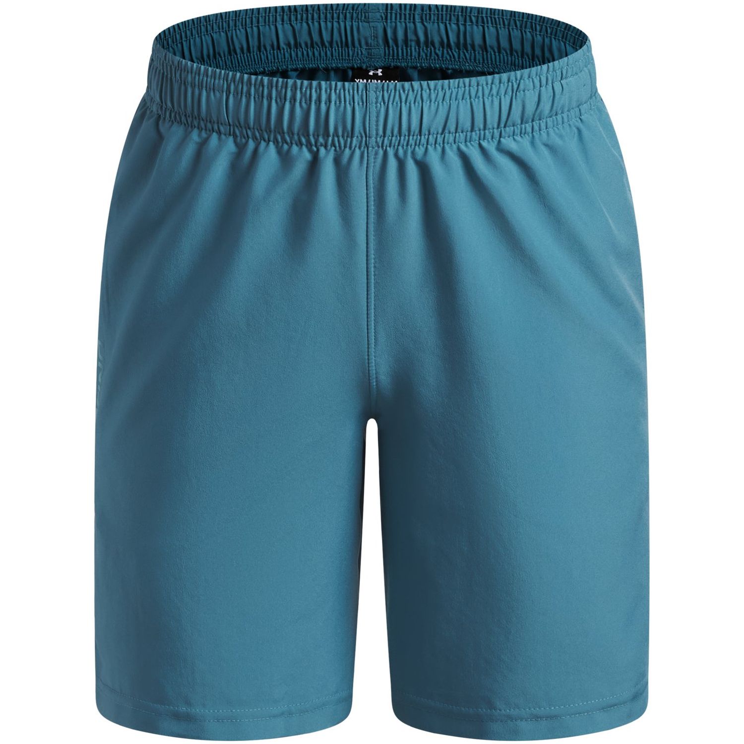 UA Tech Woven Wordmark Short