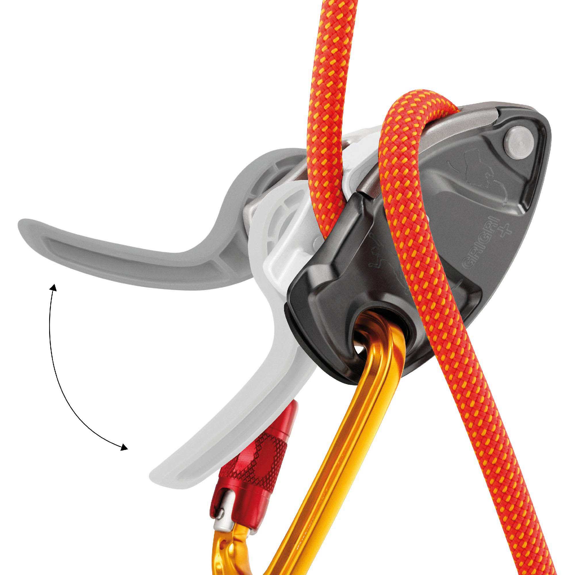 Grigri+