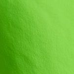 UA Tech Woven Wordmark Short