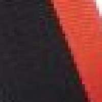 Expedition 2 Ski Poles