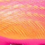 FUTURE 9 MATCH FG/AG