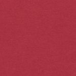 Fundamental Ride Hoodie Youth