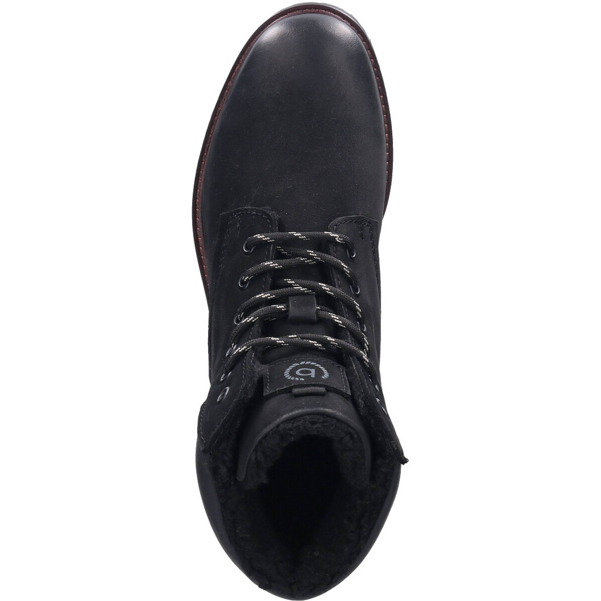 321-79155-1500 Terenzio