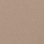 NIKE SPORTSWEAR CLUB FLEECE BI (FD3006)