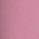 W NSW PHNX FLC MR PANT STD