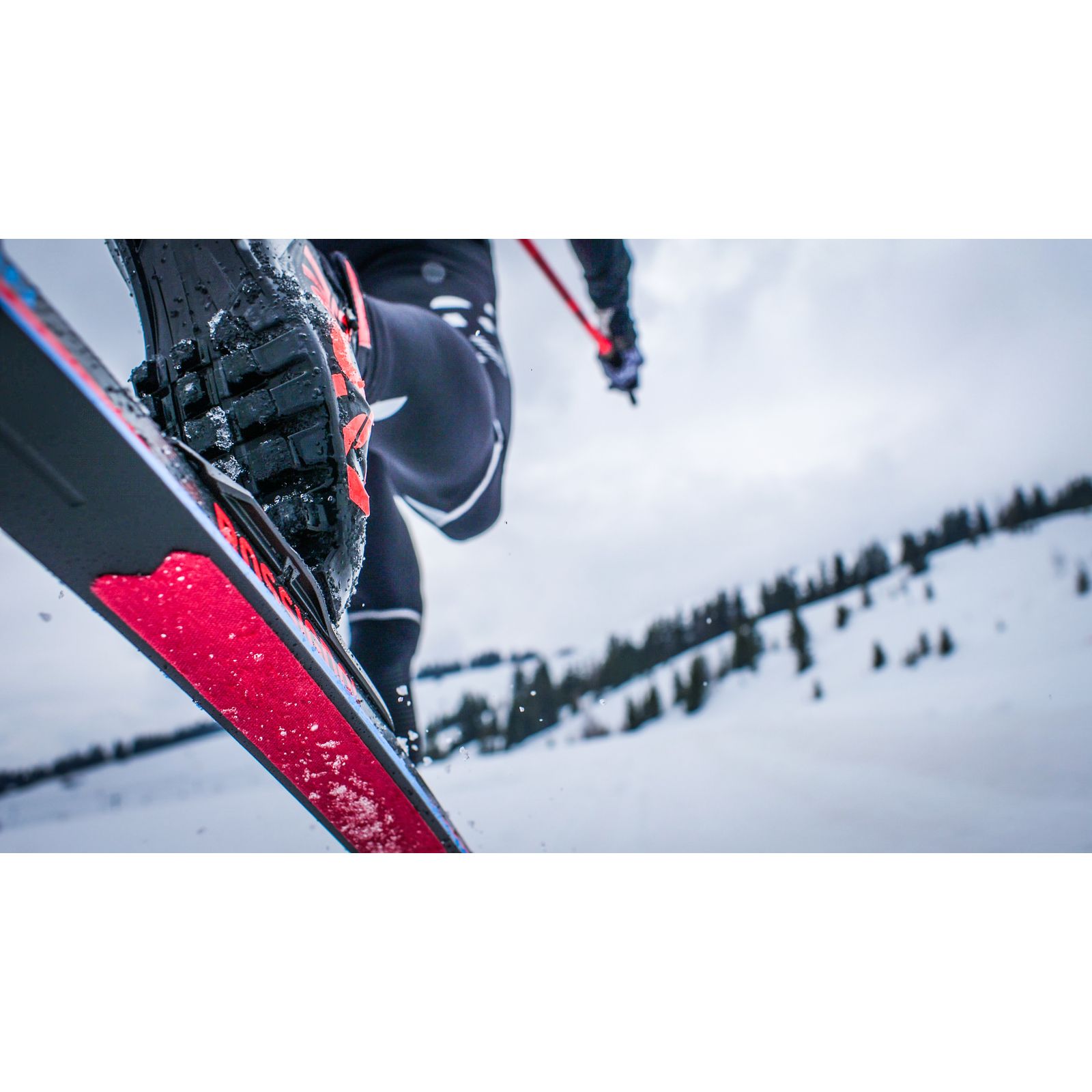 L2 RR-Skin Race Premium