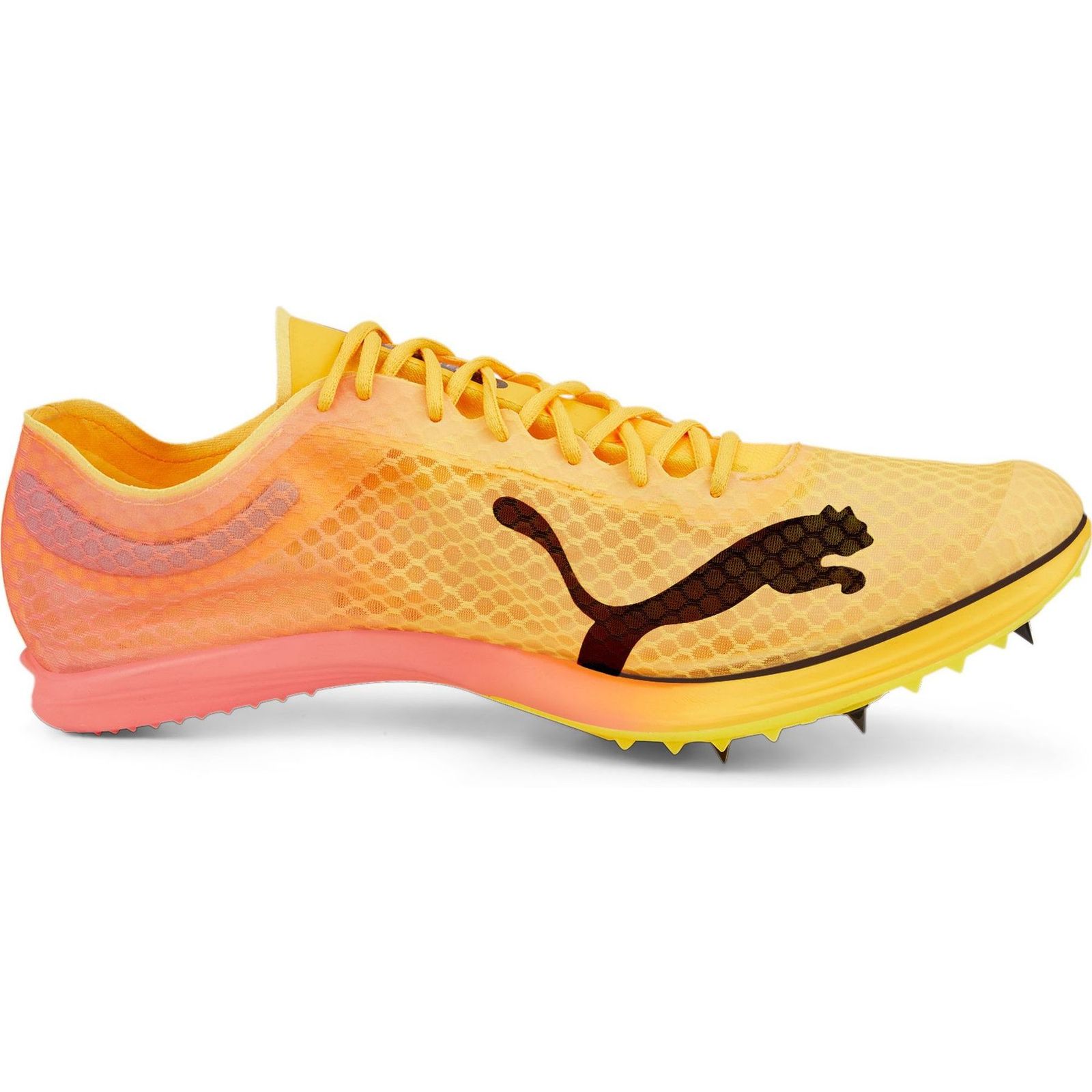 evoSPEED Distance Nitro Elite+ 2