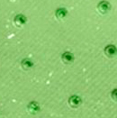 DUAL PERFORMANCE GRIP