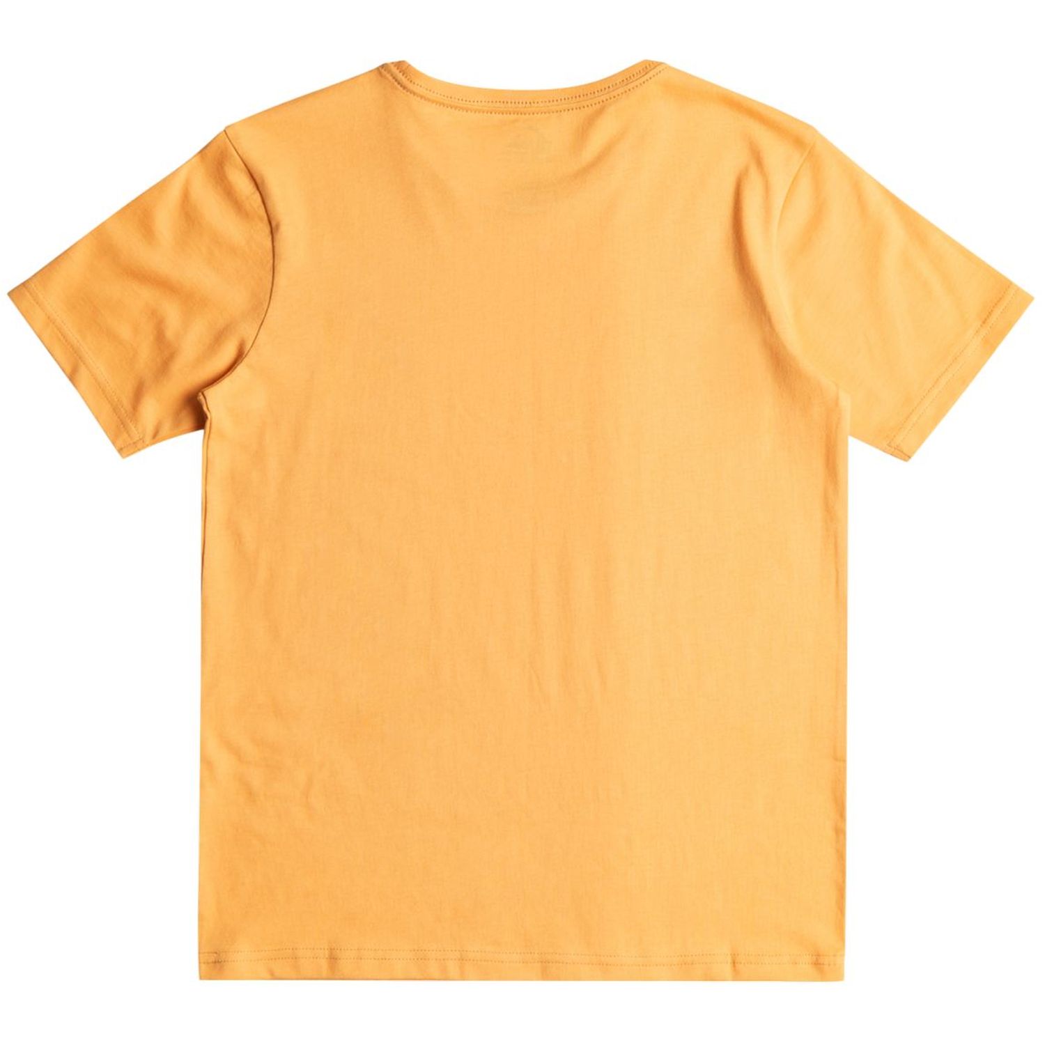 Basic SS Tee Youth