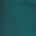 UA VANISH WOVEN SHORT DC