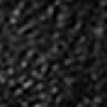 Fuzzy Kunstlauf Schoner