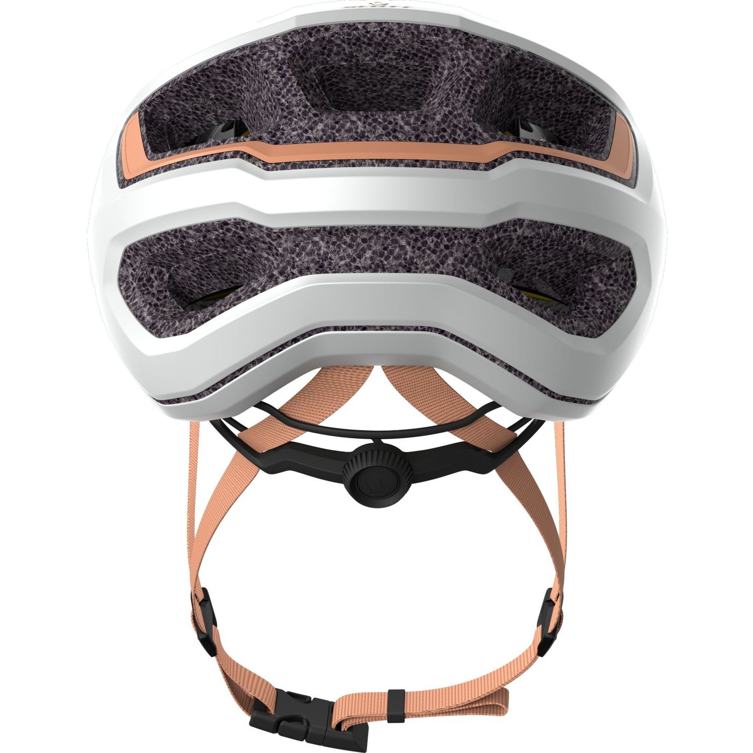Arx Plus (CE)