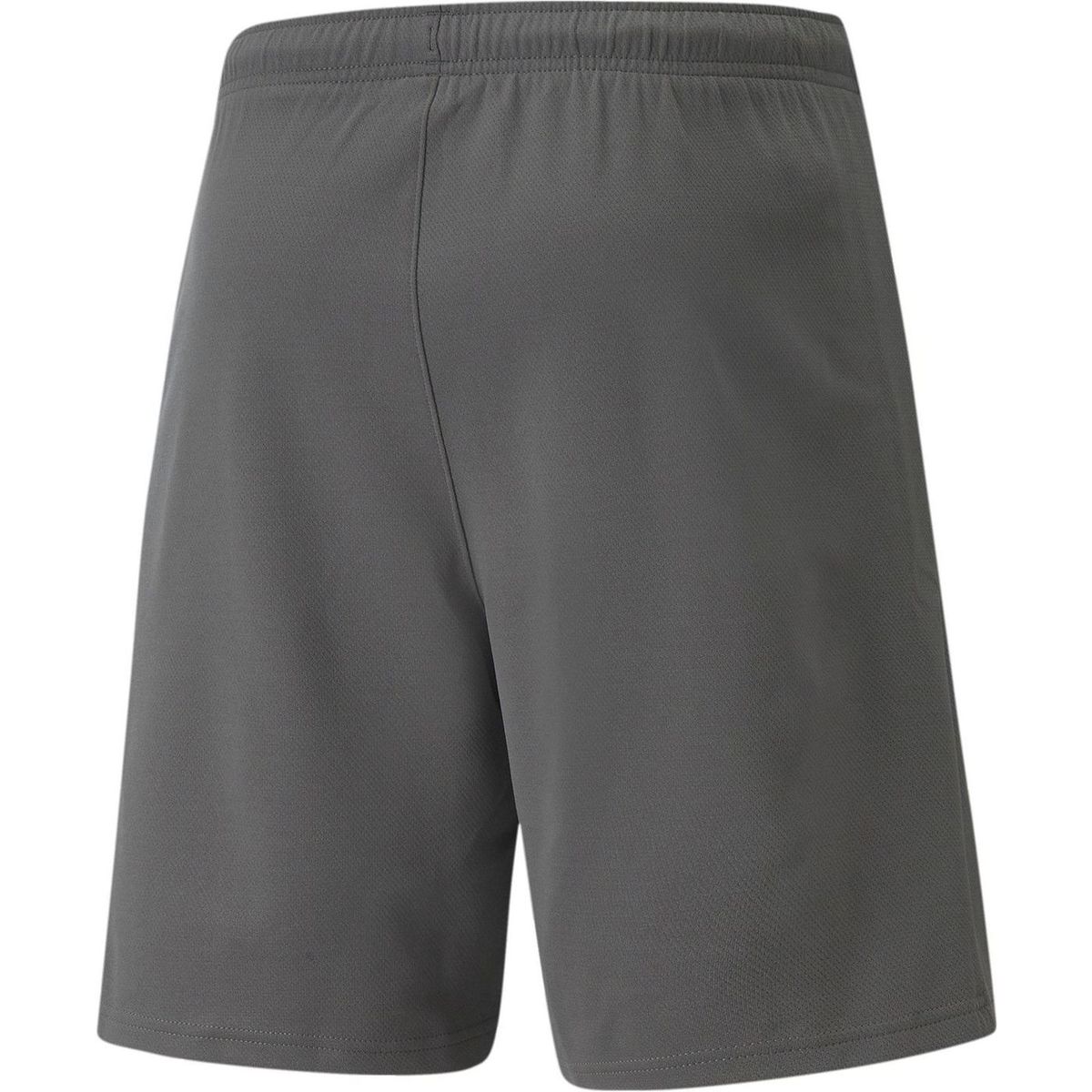teamRISE Shorts
