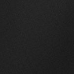 Alpine Pro 2/1 Shorts W