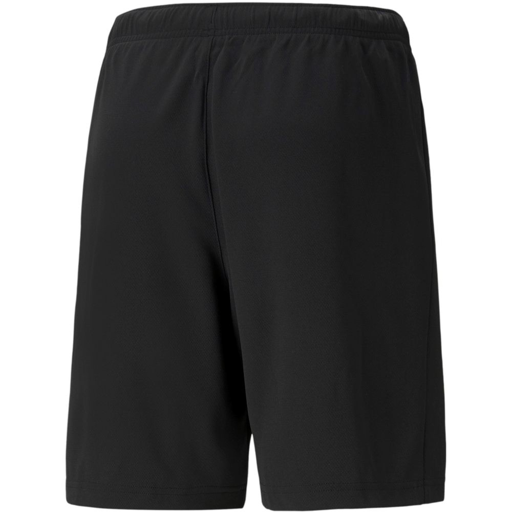 teamRISE Shorts
